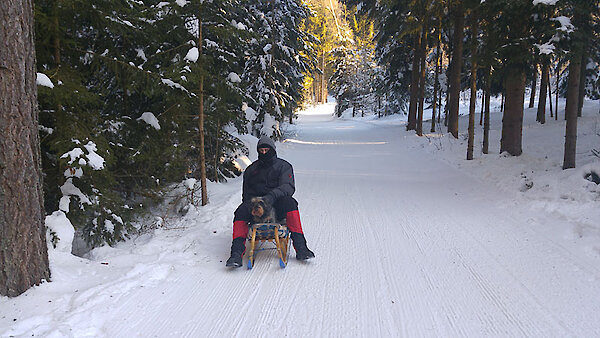 Schlittenfahren im Zellertal